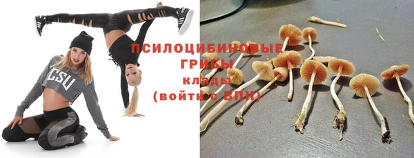ешки Майский