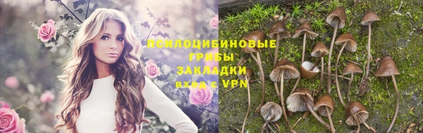 ешки Майский