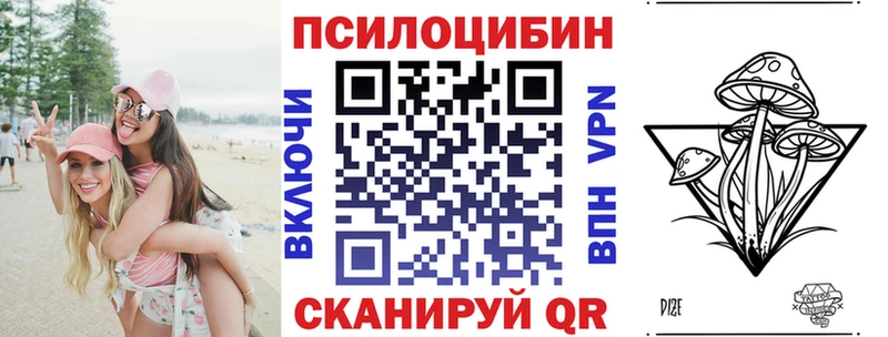 где купить   блэк спрут ONION  Псилоцибиновые грибы мицелий  Суровикино 